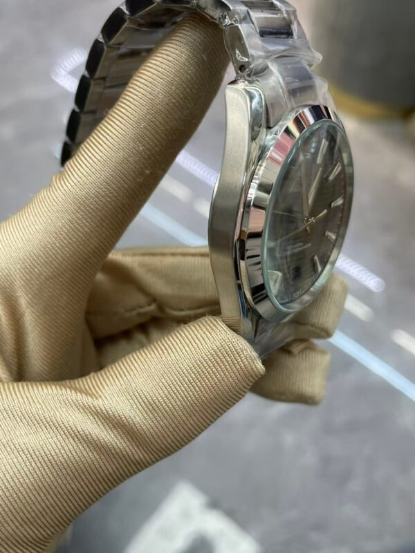 Omega Seamaster Collection,AQUA TERRA - 图片 7