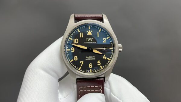 IWC Pilot's Watch Collection with Date Display - 图片 3