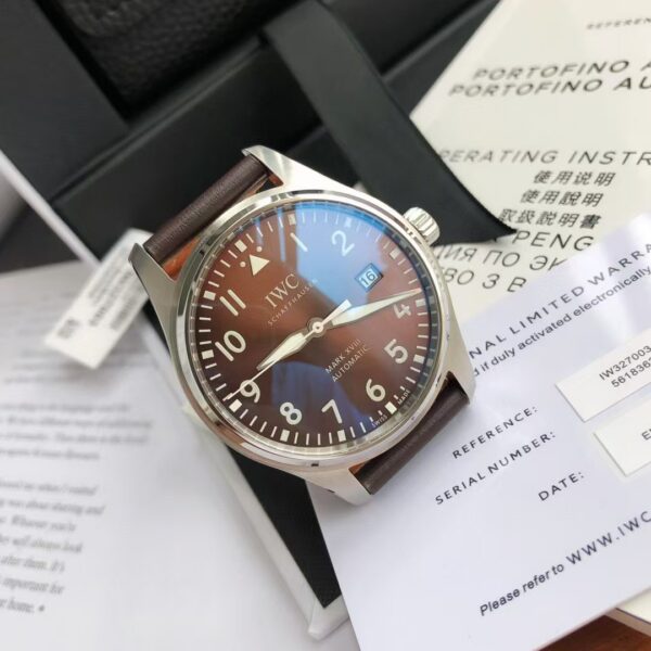 IWC Pilot's Watch Collection with Date Display - 图片 5