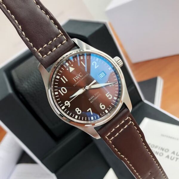 IWC Pilot's Watch Collection with Date Display - 图片 2