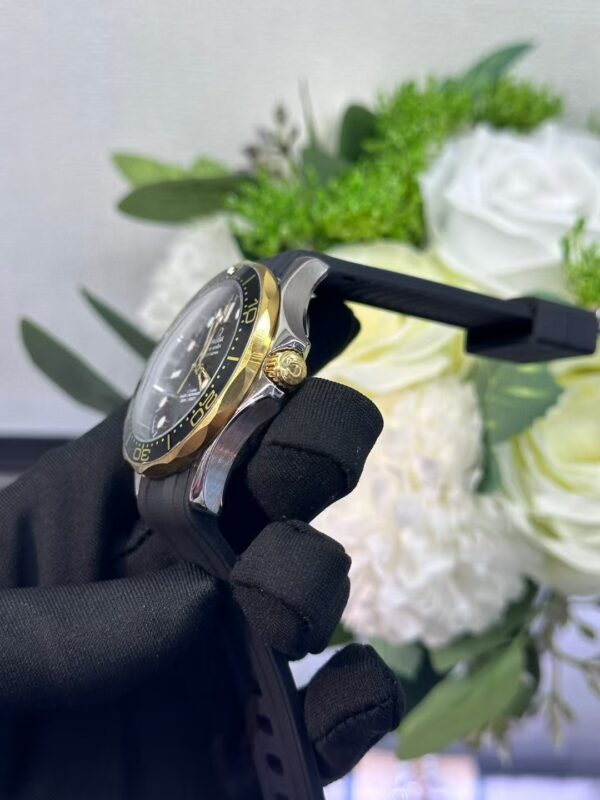 Omega Seamaster Collection - 图片 6