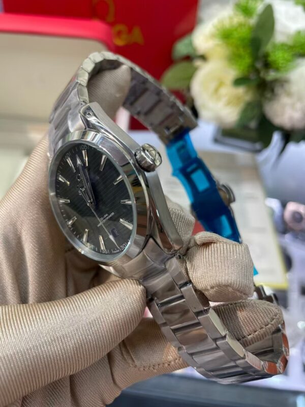 Omega Seamaster Collection,AQUA TERRA - 图片 6