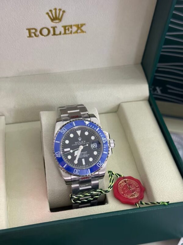 Rolex Submariner Series Log Display - 图片 5