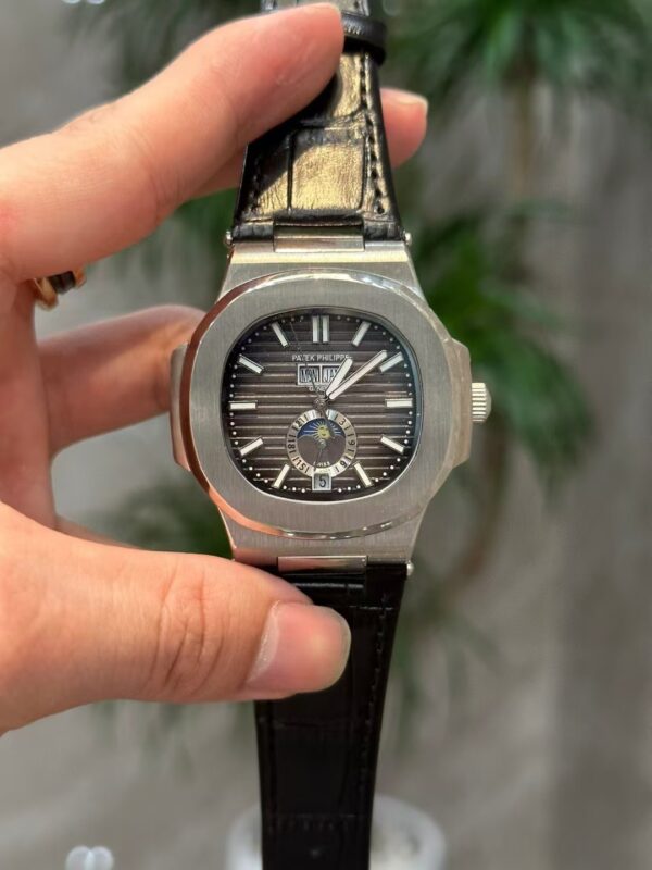 Patek Philippe Complicated Function Timepiece Collection - 图片 2