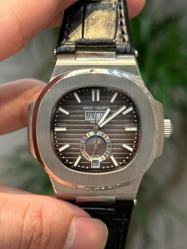 Patek Philippe Complicated Function Timepiece Collection - 图片 6